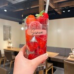 recommendations for sinoa