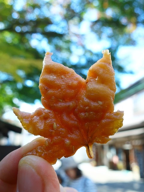 recommendations image for 紅葉の天ぷら 河鹿荘