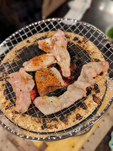 しらかわ的实拍高清图