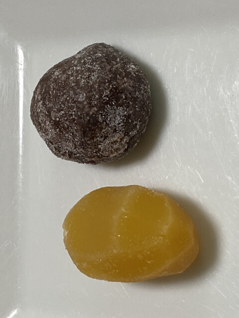 recommendations image for 京栗菓匠 若菜屋 四条西洞院店