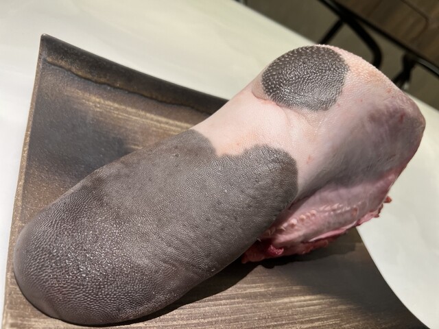 千日前 上田商店的实拍高清图