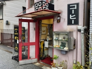 ポコ的实拍高清图