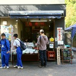 recommendations for 紅葉の天ぷら 河鹿荘