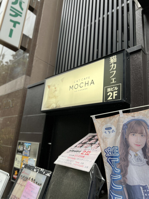 猫カフェMOCHA 秋葉原店的實拍高清圖