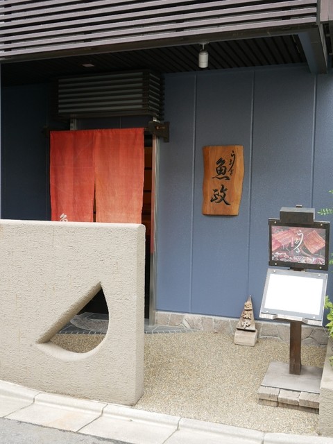 魚政的實拍高清圖