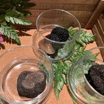 Terres de Truffes, Tokyo的实拍图