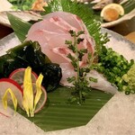 recommendations for 藤門