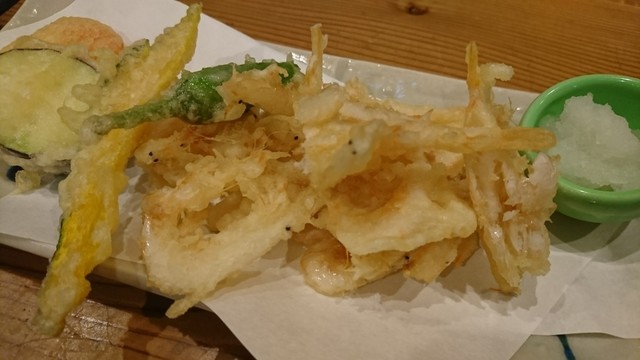 味しるべ盾的实拍高清图