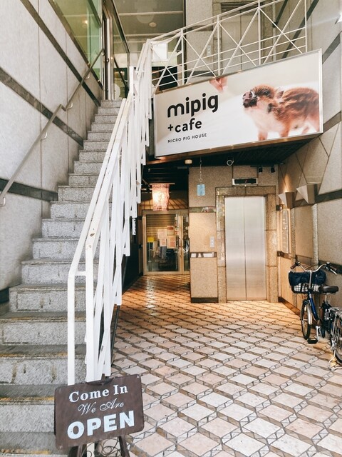 マイピッグカフェ 大阪店的實拍高清圖