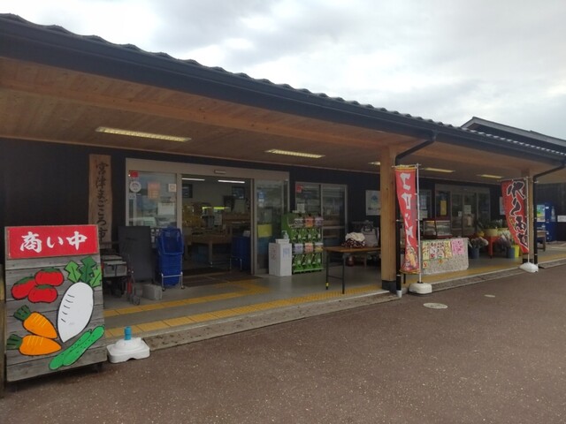 宮津まごころ市的实拍高清图