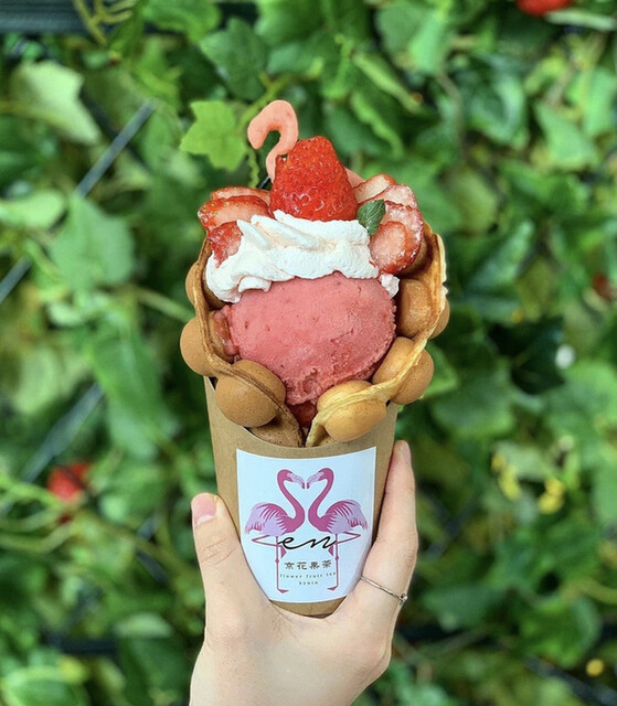 京花果茶 圓的实拍高清图