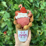京花果茶 圓的实拍图