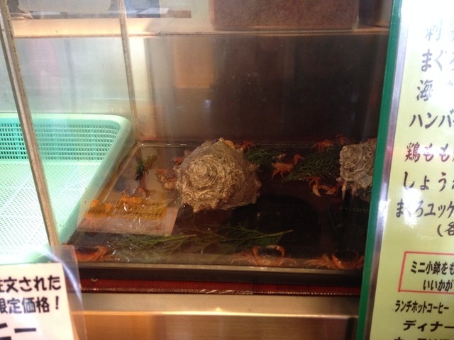ろばた焼つきじ 島根店的實拍高清圖