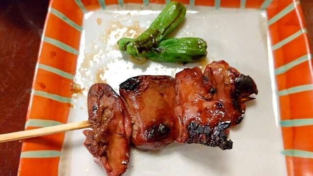 鳥匠的实拍高清图