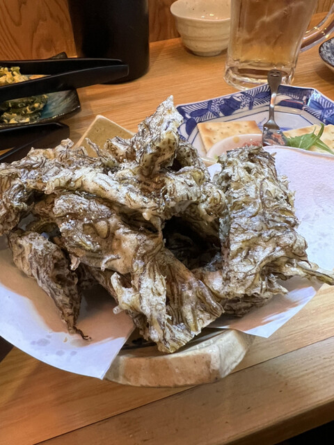 recommendations image for 美ら海
