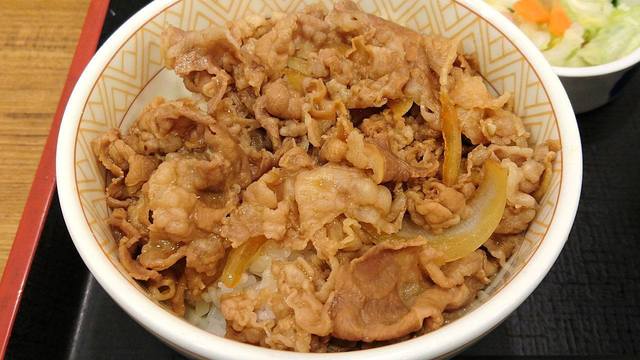 すき家 ときわ台駅北口店的實拍高清圖