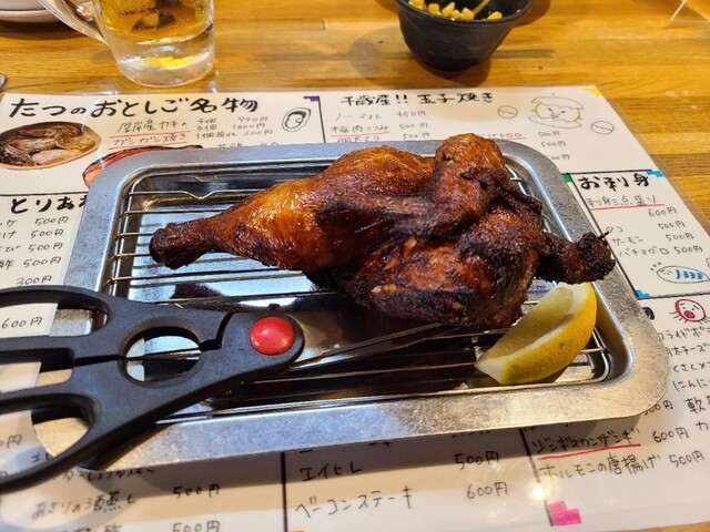 たつのおとしご的实拍高清图