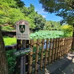 アイトワ的实拍图