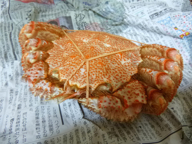 丸吾水産的實拍高清圖