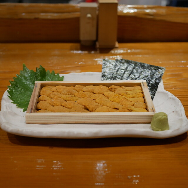 魚虎的实拍高清图