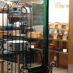 recommendations for マーヴェック