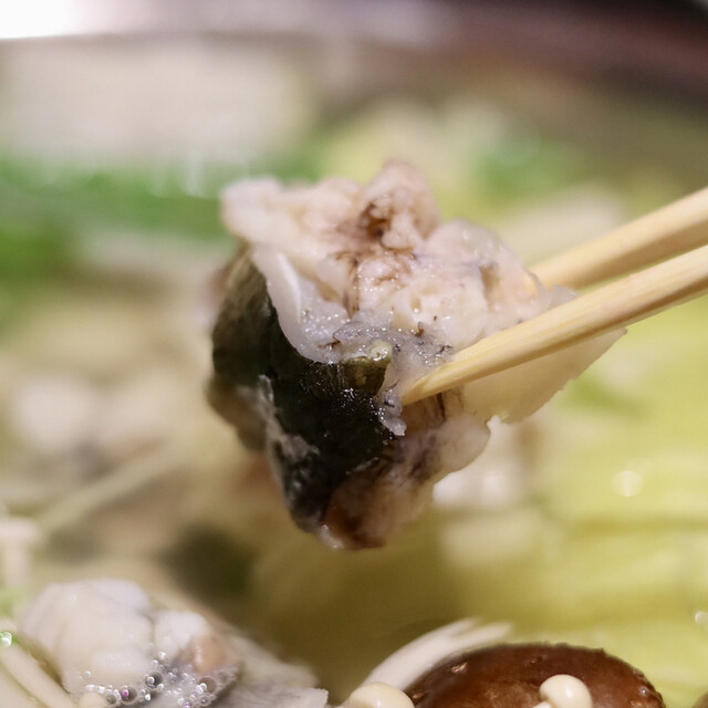 個室ふぐかに料理 磯笛的實拍高清圖