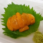 おさかな 魚四季的實拍圖