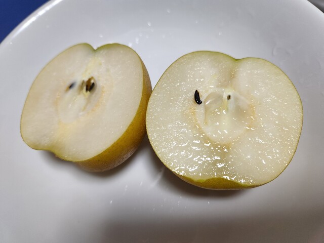 岡村果樹園的实拍高清图