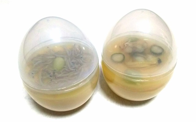 和田久 本店的實拍高清圖