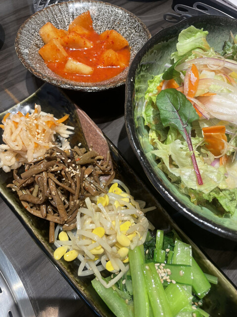 東京焼肉 平城苑 羽田エアポートガーデン店的实拍高清图