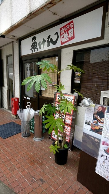 魚けん的實拍高清圖