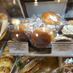 recommendations for REGINA