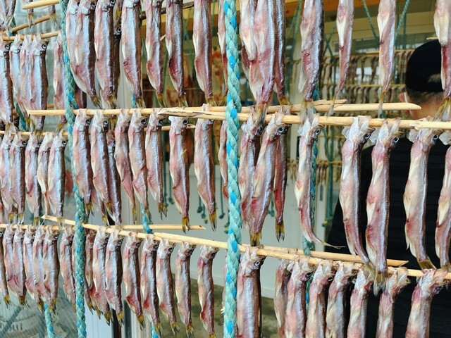 マルダイ大野商店的实拍高清图