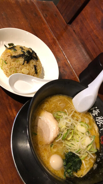 西新 海豚や的实拍高清图