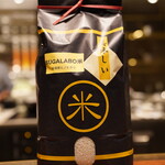 recommendations for スガラボヴィー