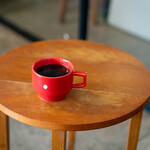 recommendations for PARLORS