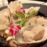 シェルポ的實拍圖