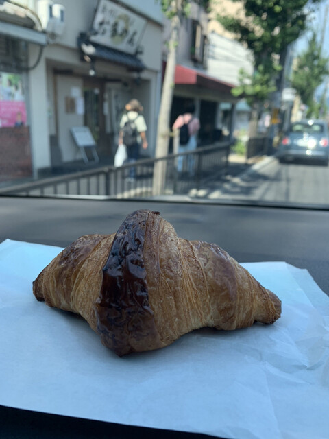 松的实拍高清图
