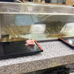 recommendations for 力寿司