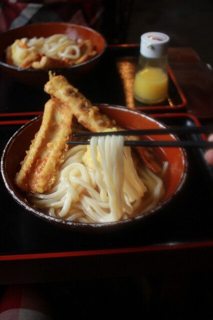 recommendations image for 名水うどん 野々傘