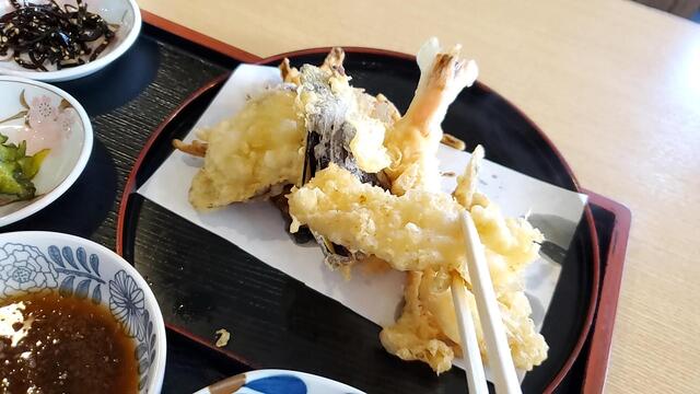 天松的實拍高清圖