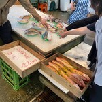市場ずし 魚辰的实拍图