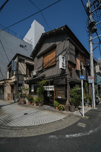 料亭きよし的实拍高清图