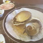 橋立大丸 本店的實拍圖