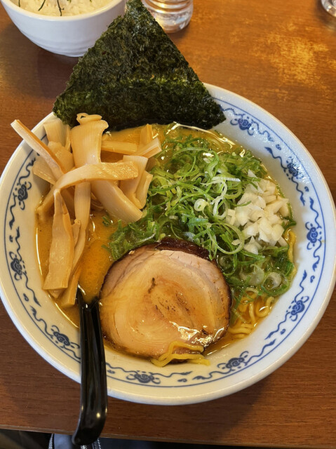 虎的实拍高清图