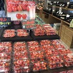 recommendations for ichica