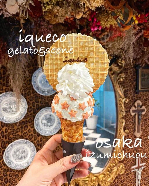 iqueco的实拍高清图