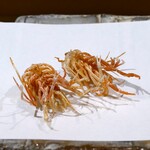 recommendations for 天ぷら浅沼
