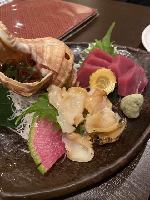 月夜のたぬき的实拍高清图