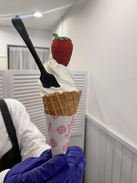 recommendations image for cafe POKO POKO Soft serve ice cream